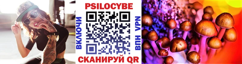 Псилоцибиновые грибы Psilocybine cubensis  Кораблино 