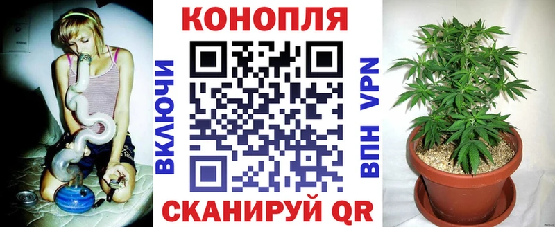 Канабис THC 21%  хочу   Кораблино 